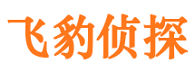 狮子山市私人调查